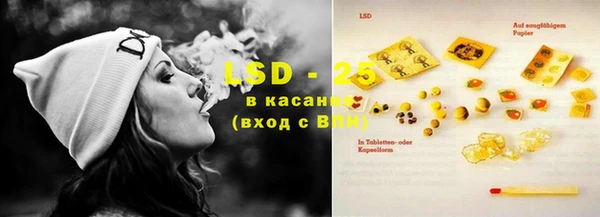 крисы Алзамай