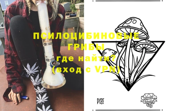 крисы Алзамай