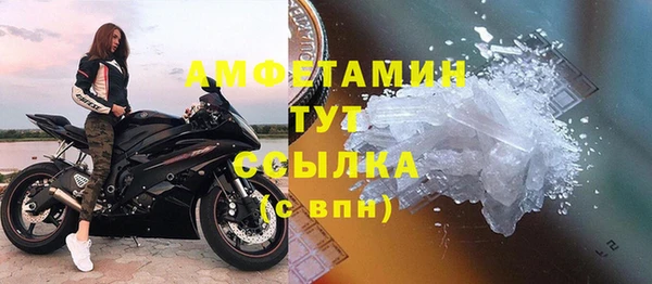 гидра Алексеевка