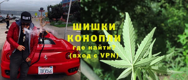 гидра Алексеевка