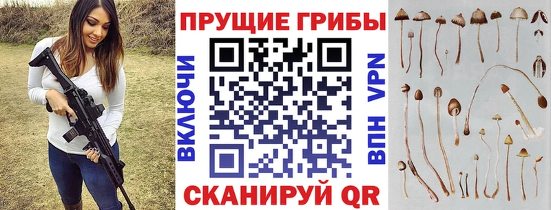 Псилоцибиновые грибы MAGIC MUSHROOMS наркотики Орёл